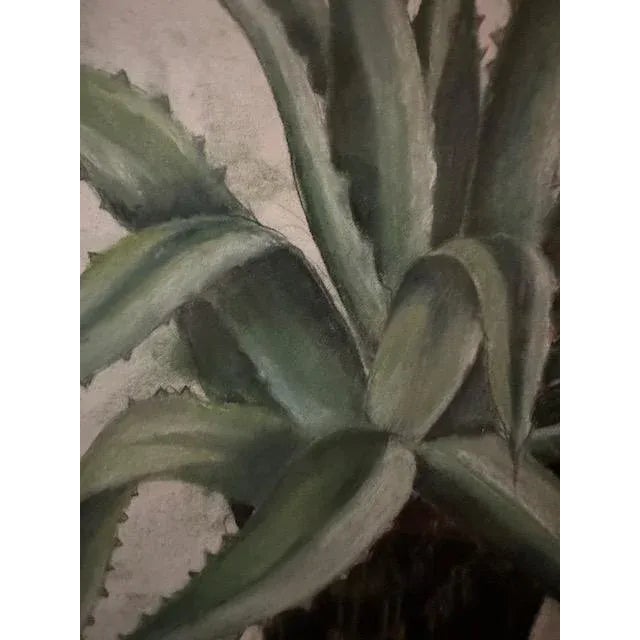 Pastel drawing of an Aloe in a chinoiserie planter with pears
