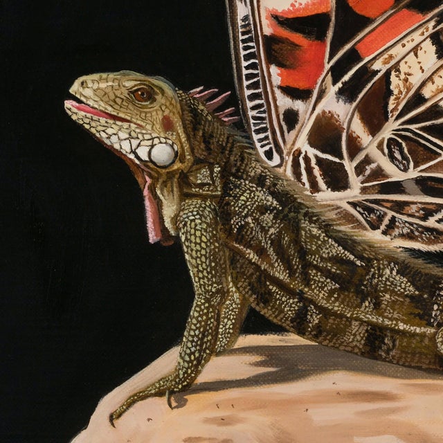 Early 21st Century Iguana-moth by Robin Hextrum | Oil on linen panel Iguana with butterfly wings on a rock For Sale - Image 5 of 5