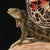 Early 21st Century Iguana-moth by Robin Hextrum | Oil on linen panel Iguana with butterfly wings on a rock For Sale - Image 5 of 5