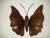 Midcentury Italian Brutalist Wrought Iron Butterfly Sconce For Sale - Image 12 of 12