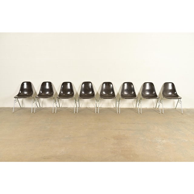 Mid-Century Modern Charles & Ray Eames for Herman Miller DSS Seal Brown Stacking Shell Chairs | Set of Eight For Sale - Image 3 of 15