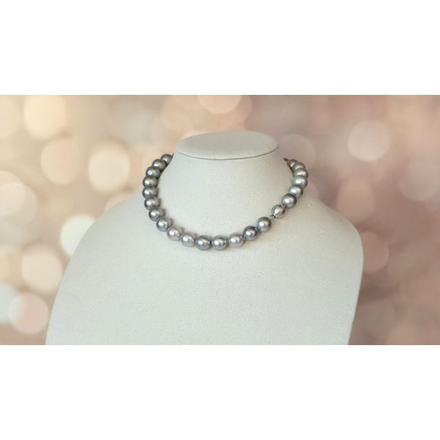 Tahitian Black Pearl Necklace, South Sea Pearls, 14k White Gold Clasp, 17" For Sale - Image 9 of 14