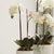 Our Phalaenopsis Orchid DropIn offers an exquisitely realistic interpretation of this elegant flower, capturing every...