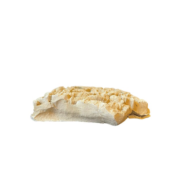 Asian Early 20th Century Camboidian Temple Molding Sculptural Wall Art For Sale - Image 3 of 13