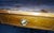 Art Deco Italian One Drawer Console Table For Sale - Image 9 of 18