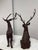 Majestic Antlered Resin Reindeer Sculptures, Pair For Sale - Image 4 of 12