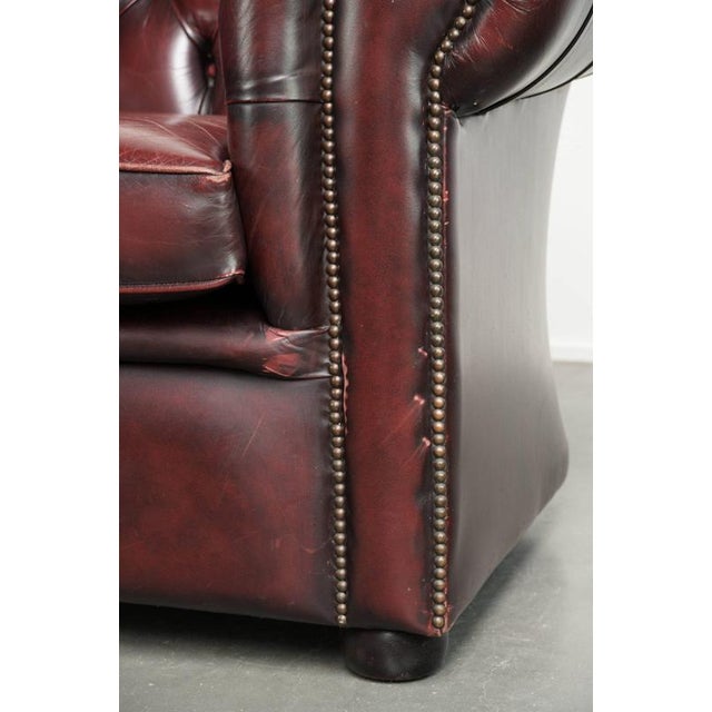 English Chesterfield Club Armchair For Sale - Image 13 of 14