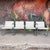Mid-Century Modern Set of Four Mies Van Der Rohe for Knoll Tubular Chrome Armchairs – Leather Upholstery For Sale - Image 3 of 12