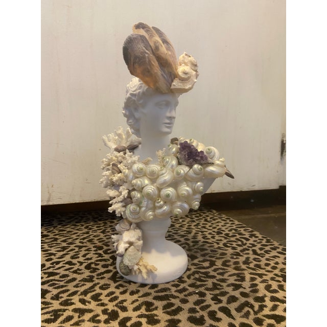 Grand Tour Shell Encrusted Bust With Amethyst Accent For Sale - Image 3 of 8