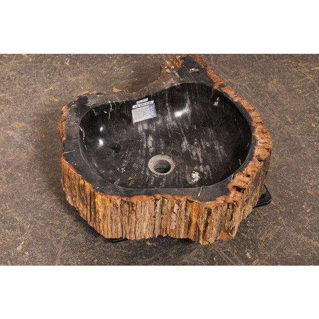 Live Edge Petrified Wood Sink, Black & Tan For Sale - Image 10 of 10