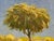Sky Blue Alexander Alexandrovich Karamzin Framed Oil on Canvas, Mid 20th Century For Sale - Image 8 of 12