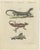 Bertuch, Monitor, Basilisk and Flying Dragon, 1805, Print For Sale - Image 3 of 12