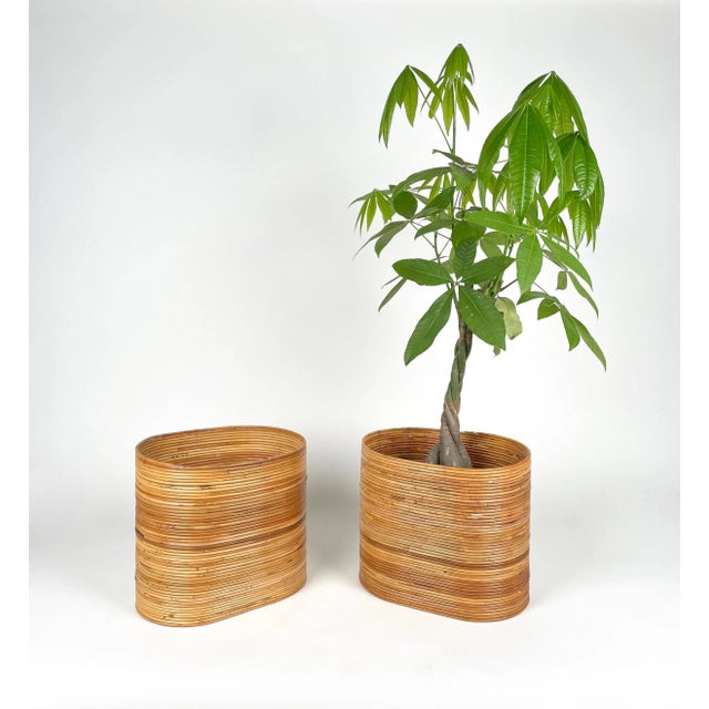 1960s Mid-Century Oval Rattan and Bamboo Basket Plant Holders or Vases, Italy, 1960s, Set of 2 For Sale - Image 5 of 14