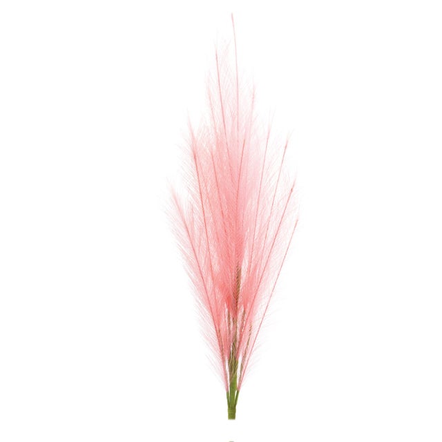Kenneth Ludwig Chicago AssortedPink Plume Spray (Set of 3) For Sale - Image 4 of 5