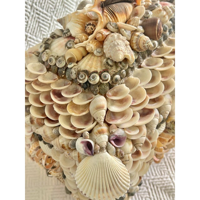 Contemporary Large Shell Encrusted Palm Beach Regency Box Attributed to Currey and Company For Sale In New Orleans - Image 6 of 12