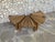 Vintage Brutalist Oak Side Tables by Radboud Dittmann for Dittmann & Co., Netherlands, 1970s, Set of 4 For Sale - Image 9 of 17