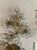 Mid 20th Century Pair of Vintage Italian Bagues Manner Sconces For Sale - Image 5 of 8