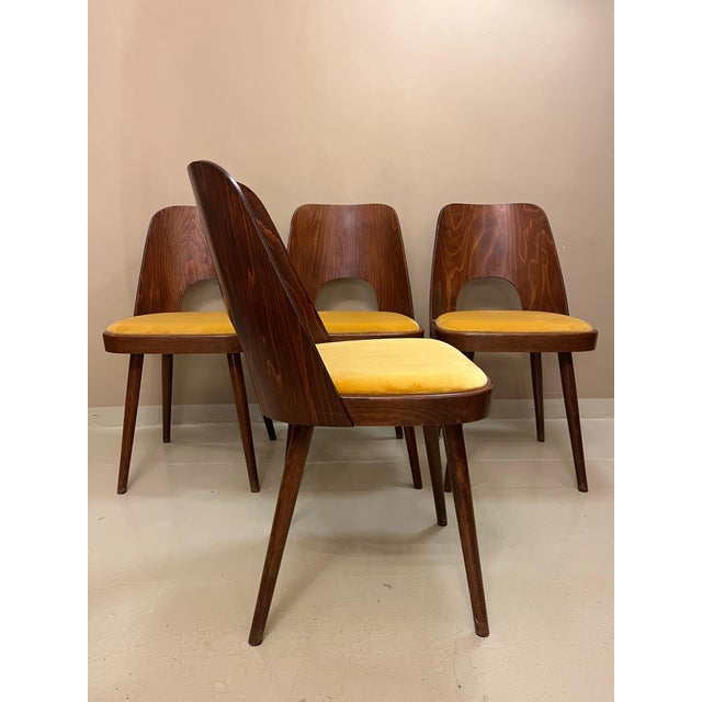 Oswald Haerdtl Dining Chairs by Oswald Haerdtl for Ton, 1950s, Set of 4 For Sale - Image 4 of 8