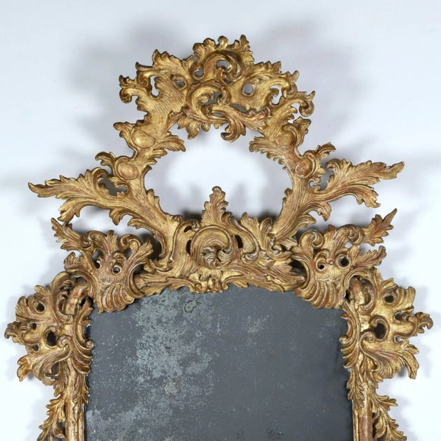 Rococo 19th C. Italian Rococo Giltwood Mirror With Original Mirror Plate For Sale - Image 3 of 9