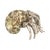 Transitional Hermit Crab Paperweight For Sale - Image 3 of 5