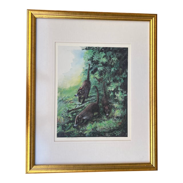 Late 20th Century Framed Art of Coatis Animal in the Woods Signed and Numbered For Sale
