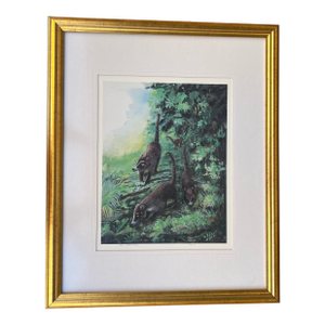 Vintage Framed Coatis Animal in the Woods Signed and Numbered