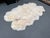 Design Plus Gallery presents Genuine Sheepskin Rug or Throw from Interiors. This sheepskin rug has an ivory tone with...