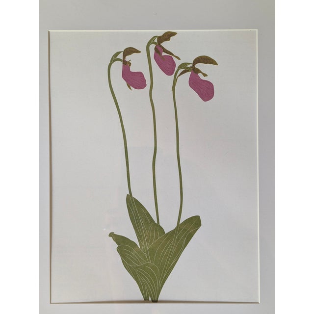 Henry Evans Botanical Linocut Prints Framed- Set of 4 For Sale - Image 9 of 17