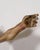Italian Artist, Corpus Christi Sculpture, 1800s, Polychrome Wood For Sale - Image 9 of 16