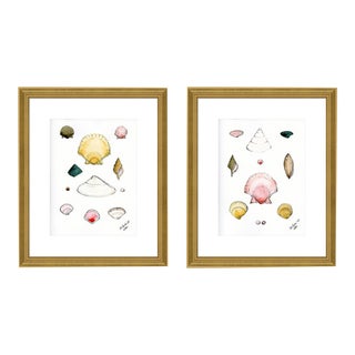 Shells Diptych by Lia Burke Libaire in Gold Frame, Small Art Prints, Set of 2 For Sale