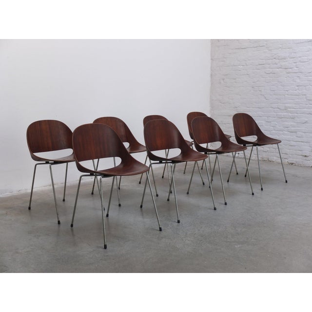 Wood Sl58 Chairs by Léon Stynen, 1958, Set of 8 For Sale - Image 7 of 18