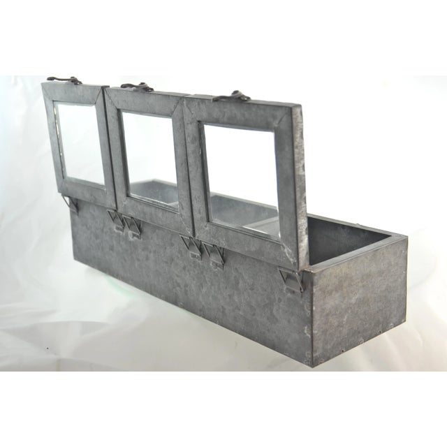 Three Window Zinc Storage/Display Box For Sale - Image 4 of 7