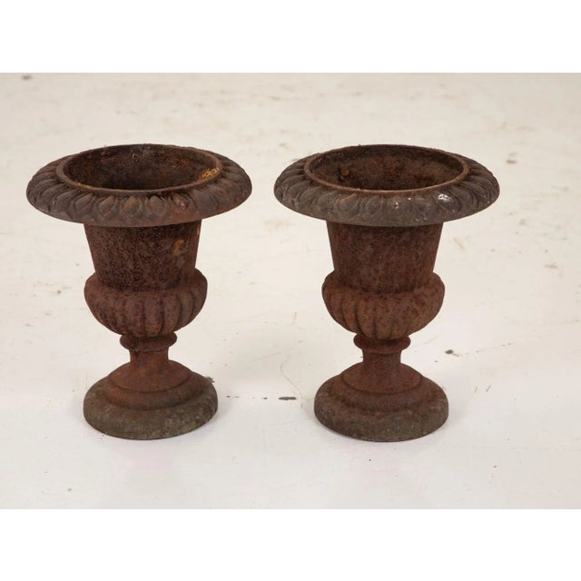 Black Pair of Cast Iron Urns, French 19th Century For Sale - Image 8 of 13