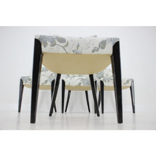 Dining Chairs by Jindrich Halabala for Hala, Czechoslovakia, 1950s, Set of 4 For Sale - Image 18 of 18