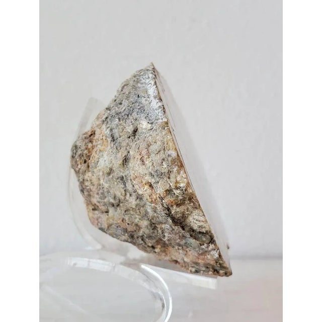 Stone Dinosaur Coprolite, Late Jurassic, Fossilized Over 150 Million Years For Sale - Image 7 of 11