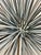 Mid-Century Modern Global Views Metal Starburst Urchin Tabletop Sculpture Marble Base Plinth Brutalist Metal Industrial Sputnik For Sale - Image 3 of 12