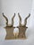 Pair of Vintage Solid Brass Gazelle Bookends For Sale In Miami - Image 6 of 8