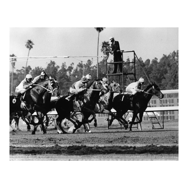 1964 Hollywood Park Racetrack Equestrian Photograph For Sale