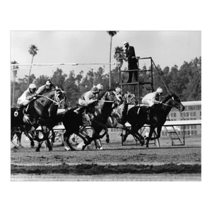 1964 Hollywood Park Racetrack Equestrian Photograph