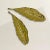 A pair of chic vintage American solid cast brass tobacco leaf dishes, perfect for holding paperclips, pens, chocolates, or...