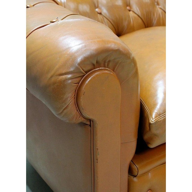 Animal Skin Late 19th Century Leather Chesterfield Sofa For Sale - Image 7 of 18