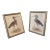 Early 21st Century Whimsical Bird Prints in Silver Frame ~ a Pair For Sale