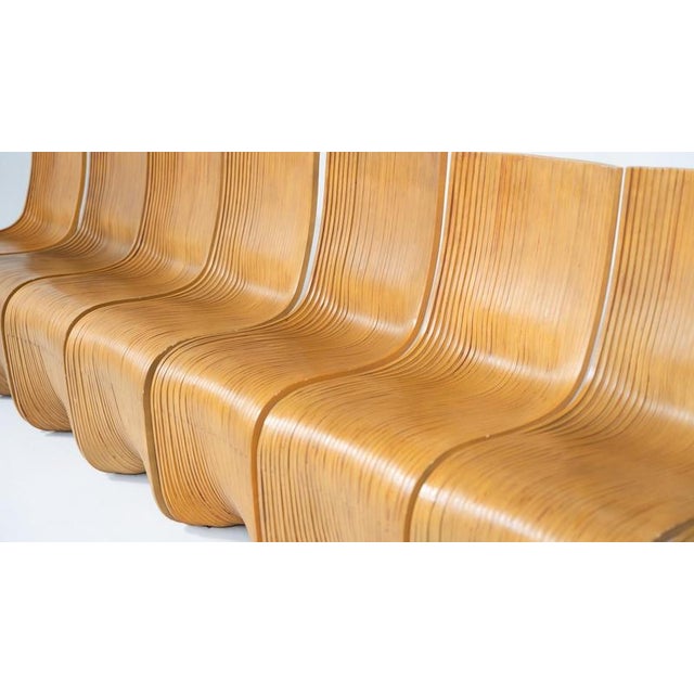 Bamboo Dining Chairs by Alejandro Estrada for Piegatto, 2000s, Set of 8 For Sale - Image 6 of 18