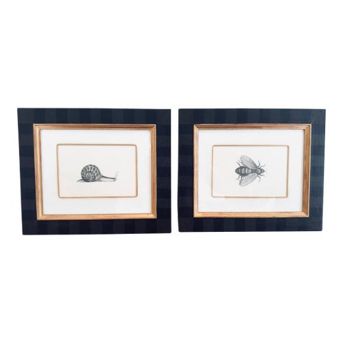 Early 20th Century Set of Bee & Snail Framed Prints by Portfolio Collection of England - Set of 2