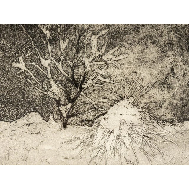 Mid-Century Modern Danièle Fuchs, Neige, Black and White Etching on Paper, Framed For Sale - Image 3 of 8