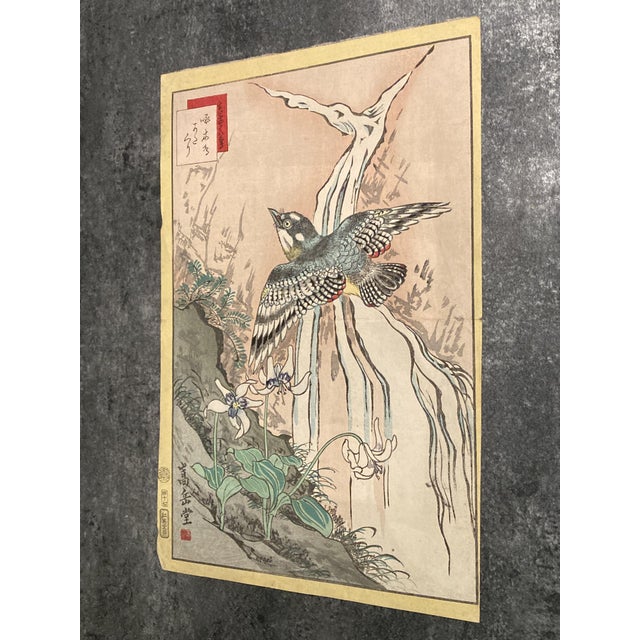 Nakayama Sūgakudō, Woodpecker and Erythronium Japonicum, 1859, Print For Sale - Image 12 of 13