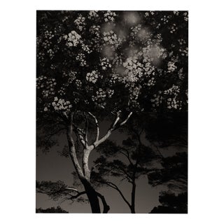 Jaume Llorens Bach, Gaia Diptych #108, Monochrome Photographic Print For Sale