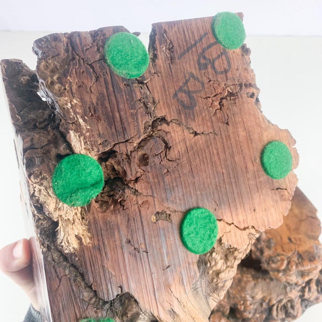 Mid-Century Modern Large Vintage Pair Unique Burl Wood Carved Sculptural Book Ends Mid Century MCM For Sale - Image 3 of 12
