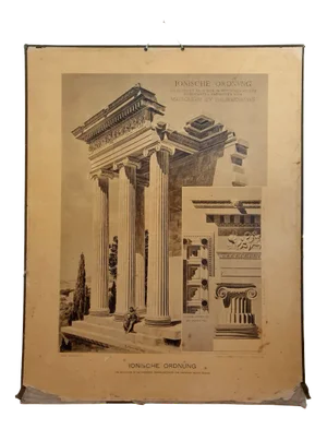 Sinsel & Co, Ionic Order, 1897, Collotype Print