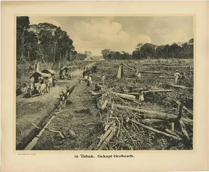 Kleynenberg, Felling Timber, 1910, Paper